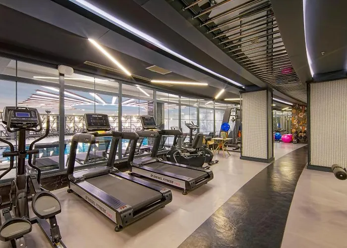 Stella Elite & 16 (adults Only)