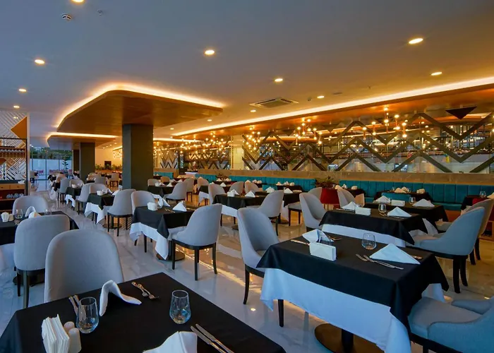 Stella Elite & 16 (adults Only)