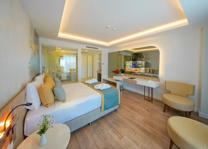 Stella Elite & 16 (adults Only)