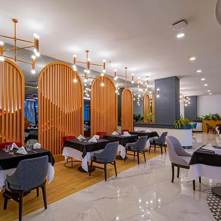 Stella Elite & 16 (adults Only) Side